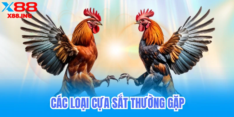 Các Loại Cựa Sắt Thường Gặp