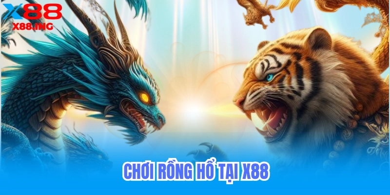 Chơi rồng hổ tại x88